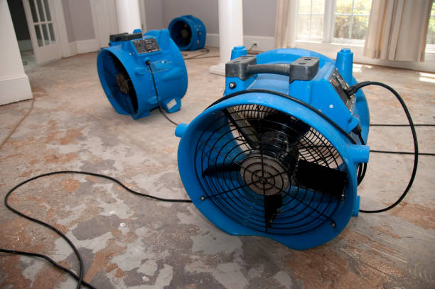 Best Flood damage cleanup  in Hide A Way Lake, MS