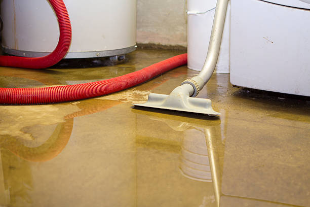 Professional Water damage restoration in Hide A Way Lake, MS