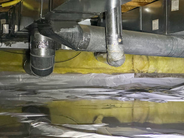 Best Basement water damage restoration  in Hide A Way Lake, MS