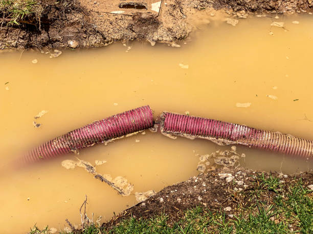  Hide A Way Lake, MS Water damage restoration Pros