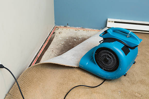 Best Ceiling water damage repair  in Hide A Way Lake, MS